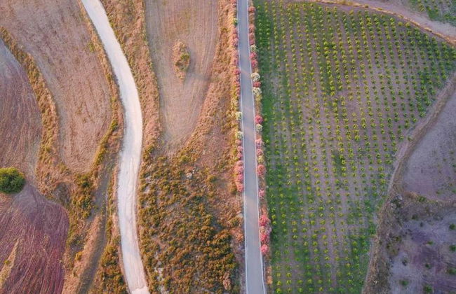 Villa Styliani in Fasli - Foto 31