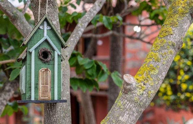 Villa Torrita - Photo 36