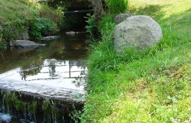 Forest Family Stay, Triberg - Foto 16