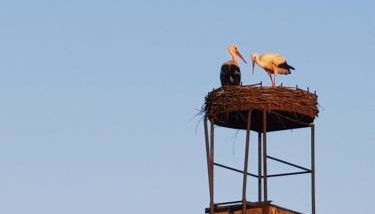 Ferienhaus Gickelsberg - Foto 2