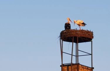 Ferienhaus Gickelsberg - Foto 2