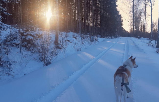 Stunning Sleeps 9 Lakeview Loghome, Spa & Yoga - Foto 17