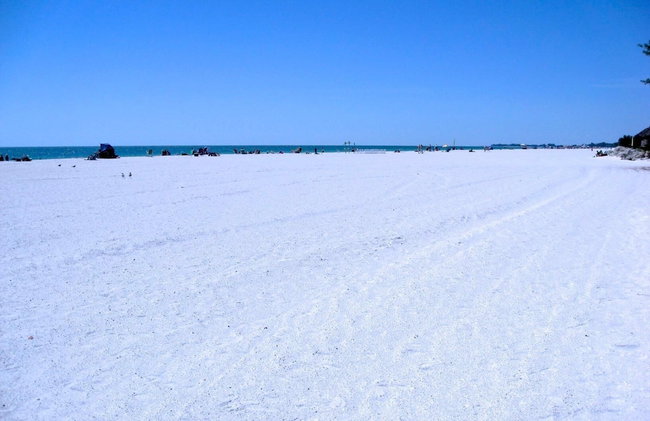Anna Maria Island Beach Palms 8B - Foto 52