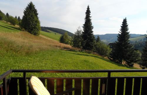 Apartment Monte e Mare -Ferienidyll in Todtnauberg - Foto 23