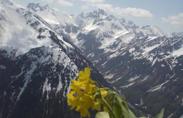Ferienwohnung Landhaus Martin - Foto 47
