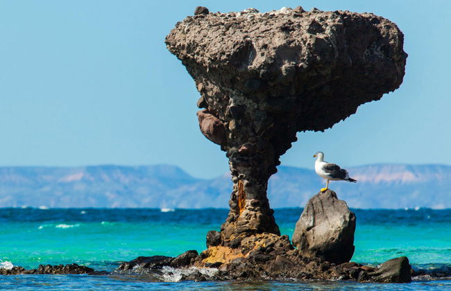 La Paz Guided City Tour - Foto 1