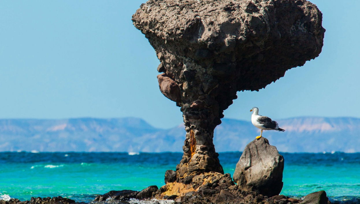 La Paz Guided City Tour - Foto 1