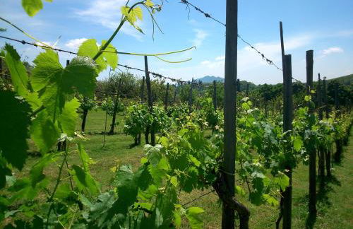 Borgodoro - Natural Retreat - Foto 12