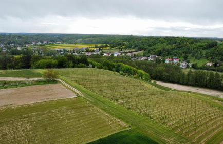 Apartament Lawendowy - Foto 17