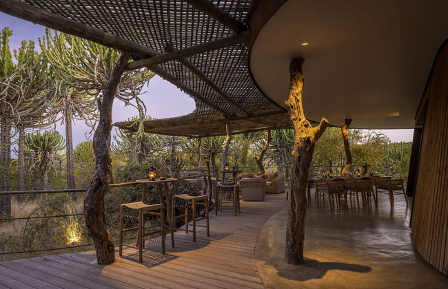 Euphorbia Mashatu - Foto 10