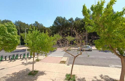 Pine Horizon Family - Photo 26