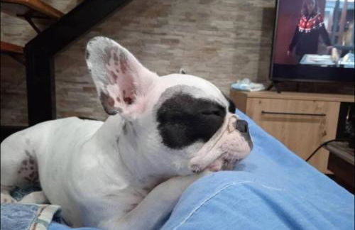 Sado Guest House - Foto 21