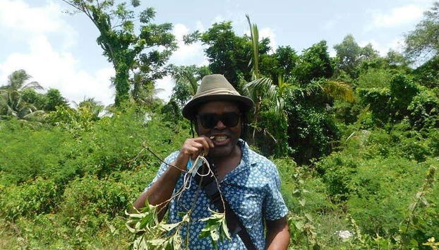 Explorando los campos de Georgetown