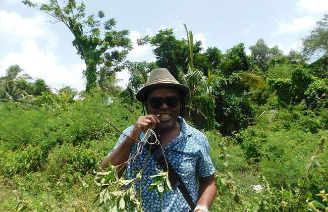 Tour de la esclavitud por Georgetown + Clase de cocina - Foto 5