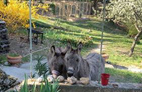 Mymoustiers - Foto 59