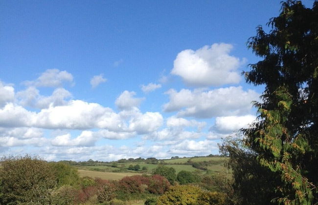 Elm Grove Country House - Foto 10