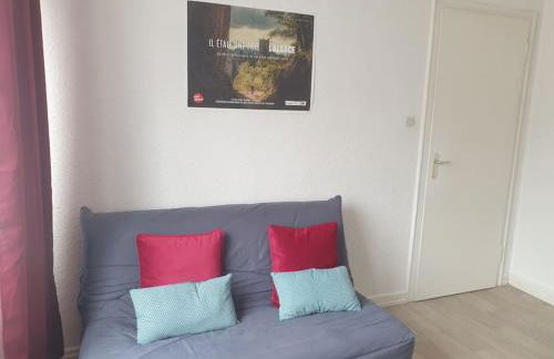 Le nid des cigognes à Colmar centre, proche gare, marchés de Noël - Foto 8