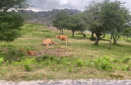 Gerês River - Apartamento na Natureza - Foto 49