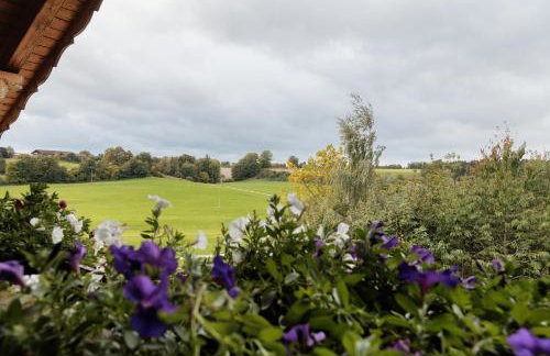 Martin´s Alm - Foto 19