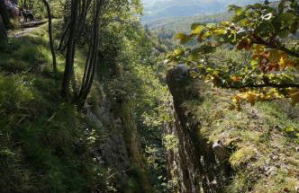 Le Bois gentil - Foto 16