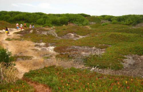O CANTINHO DA RIA - JACUZZI with water at 35 degrees and POOL - Foto 47