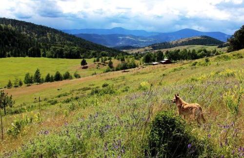 Secluded Cottage Rental on 305-Acre Ranch in Stevens County, Washington - Foto 9