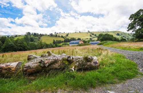 Barcud Coch - Uk44539 - Foto 26