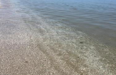 vistamare con terrazzi, giardino e parcheggio - Foto 25