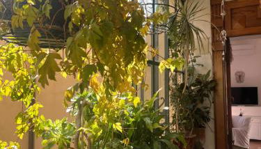 Tra Vicoli e Palazzi Apartment - Foto 2