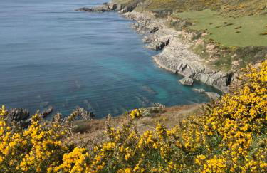 Hollyhocks Holiday Home- 2 bedroomed ground floor apartment sleeps 5 - Foto 43