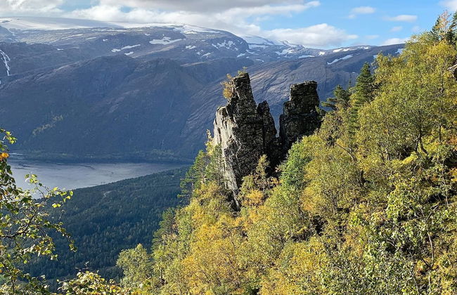 12 Person Holiday Home in Alfoten - Foto 22