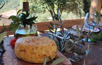 El Racó dels Mussols 2 - Foto 60