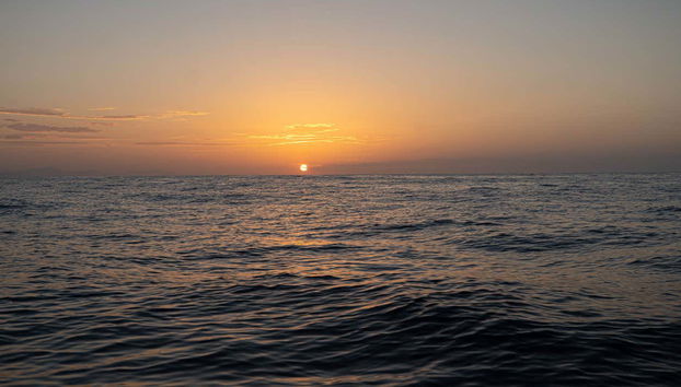 Barco por la bahía de Santa Cruz al amanecer - Foto 5