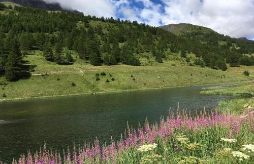 Duplex Familial à Vars, Chalets des Rennes - Foto 45