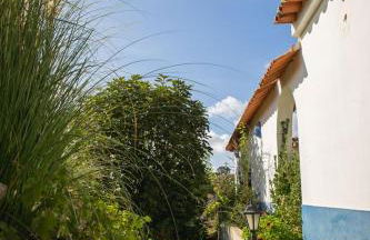 Entire villa hosted by Noam - Foto 4