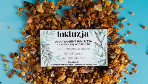 Apartament Inkluzja - Foto 2