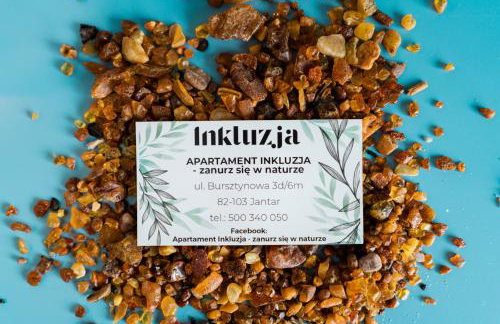 Apartament Inkluzja - Foto 2