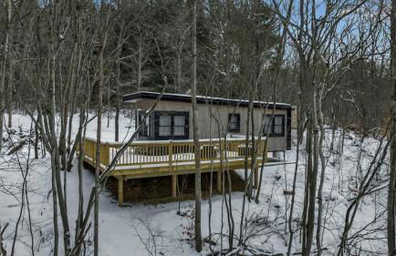 Modern Tiny Home Wraparound Deck - Foto 54