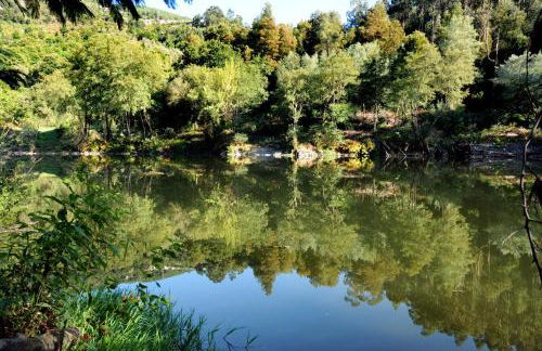 Quinta Das Escomoeiras - Foto 70