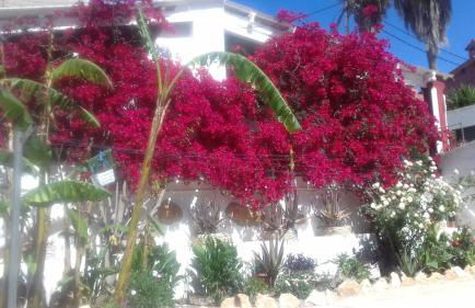 Casa Rural COMPLEX MASIA DEL TREMENDO y Agroturismo - Foto 13