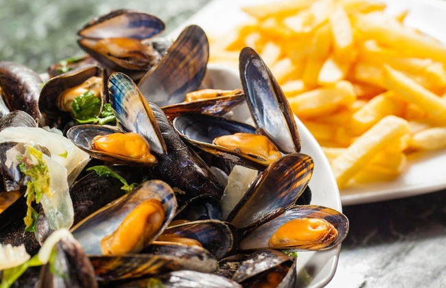 Villa at Nieuwvliet-bad Near the Beach - Photo 18