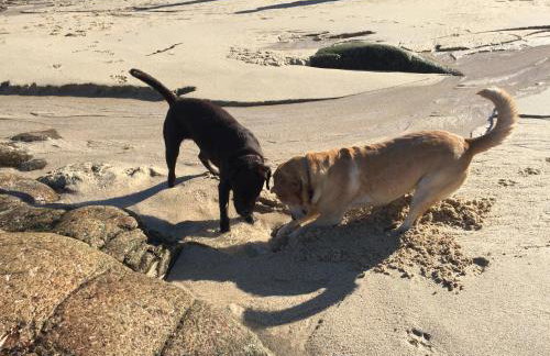 Roselands caravan park, Nr Lands End, Cornwall - Foto 76