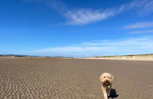 Sandscape - Eco Beach House - Close to Beach - Pet Friendly - Foto 29