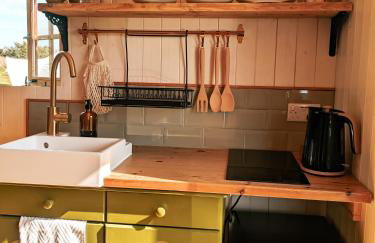 Stunning Shepherd's Hut Retreat North Devon - Foto 12