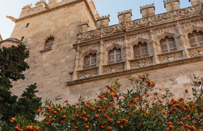 Promotur Suites - Ayora - Photo 50