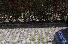 BELLAGIO DREAMS APT, pool, with private garden, near lake - Foto 36