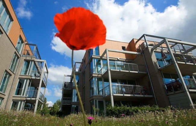 Reese Uitzicht op de Trave - Foto 18