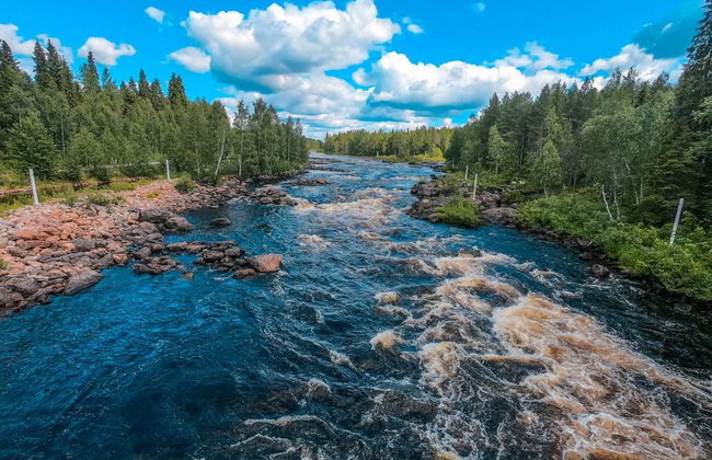 Trilha por Vikaköngäs - Foto 3