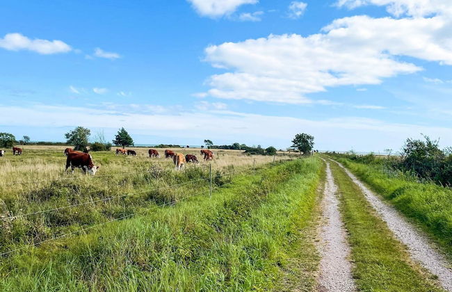 5 Person Holiday Home in Borgholm - Foto 10