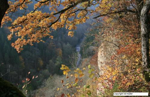 Haus am Waldrand - Foto 30